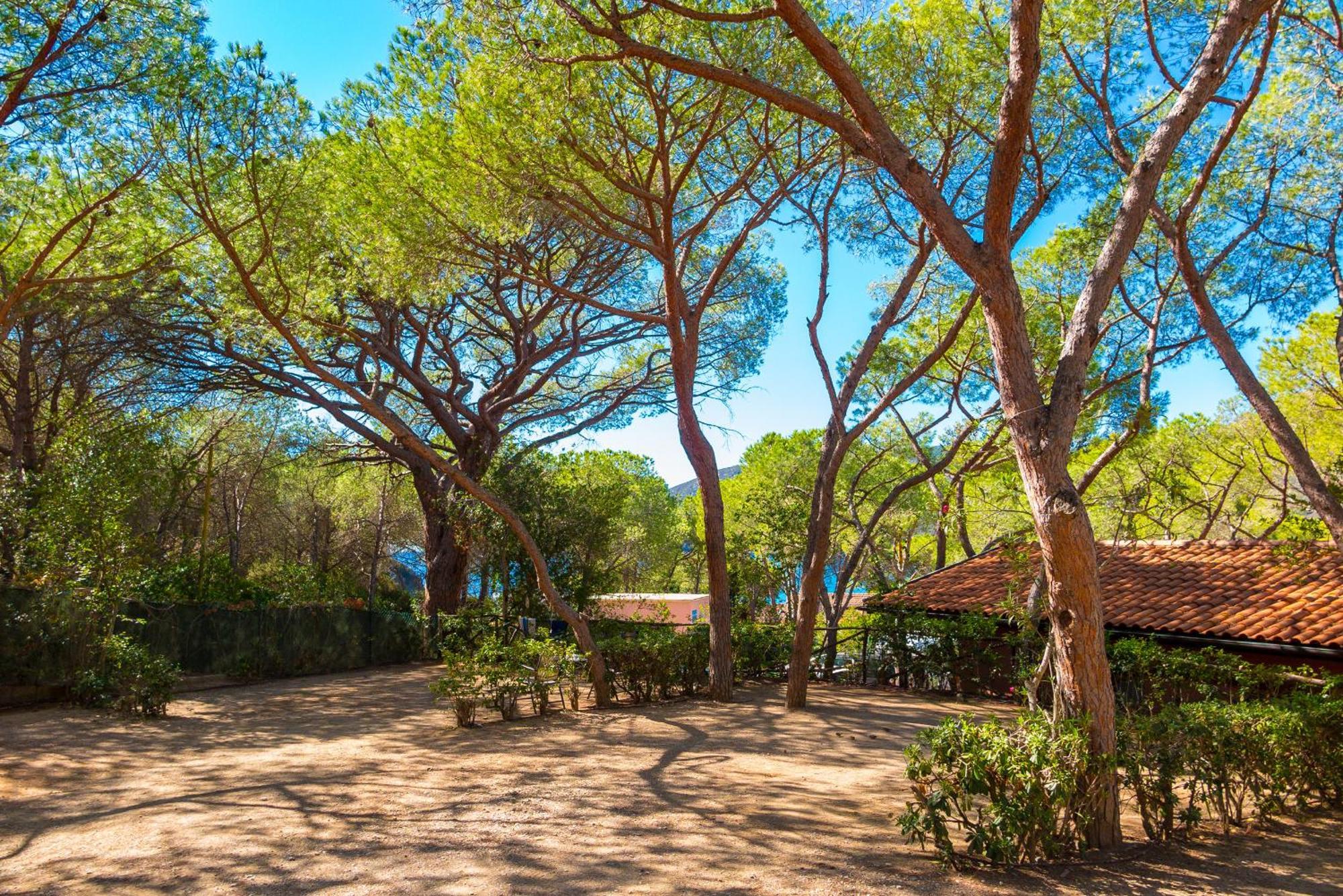 Camping Lacona Pineta Capoliveri  Exteriér fotografie